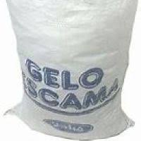 SACO DE GELO ESCAMA